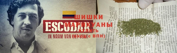 PSILOCYBIN Балахна