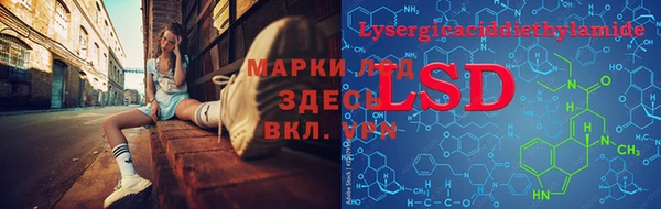 PSILOCYBIN Балахна