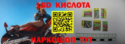 СК Краснознаменск