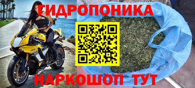 СК Краснознаменск