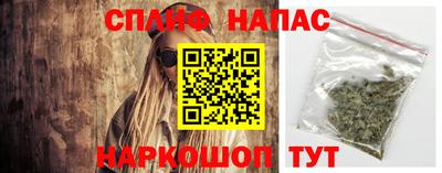 гидра Краснодар