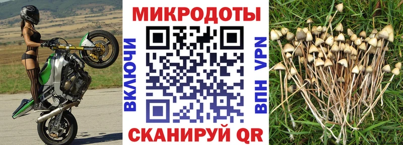 Галлюциногенные грибы MAGIC MUSHROOMS  Корсаков 