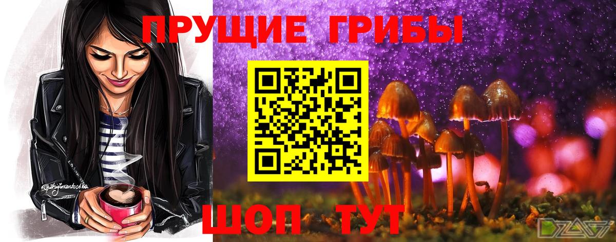 Псилоцибиновые грибы Psilocybe Корсаков