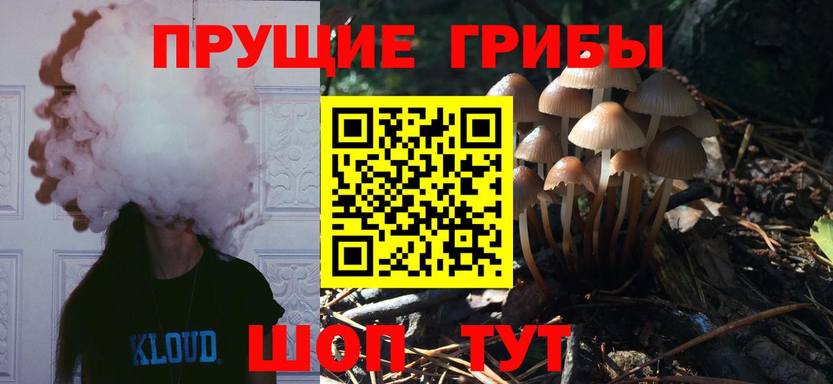 Галлюциногенные грибы Magic Shrooms  где продают   Вход с VPN  Корсаков  Псилоцибиновые грибы мухоморы 